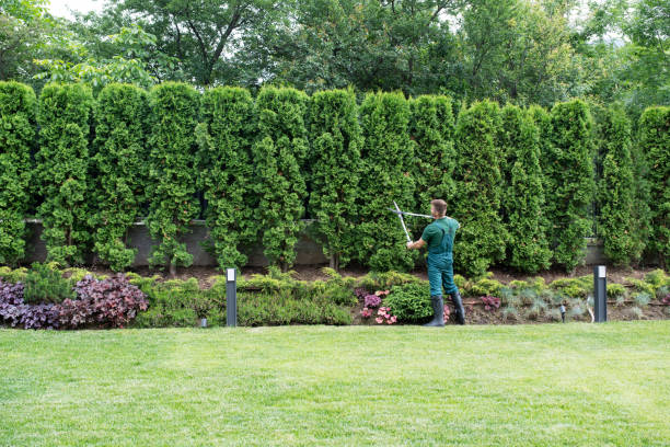 Landscape Design and Installation in Janesville, WI